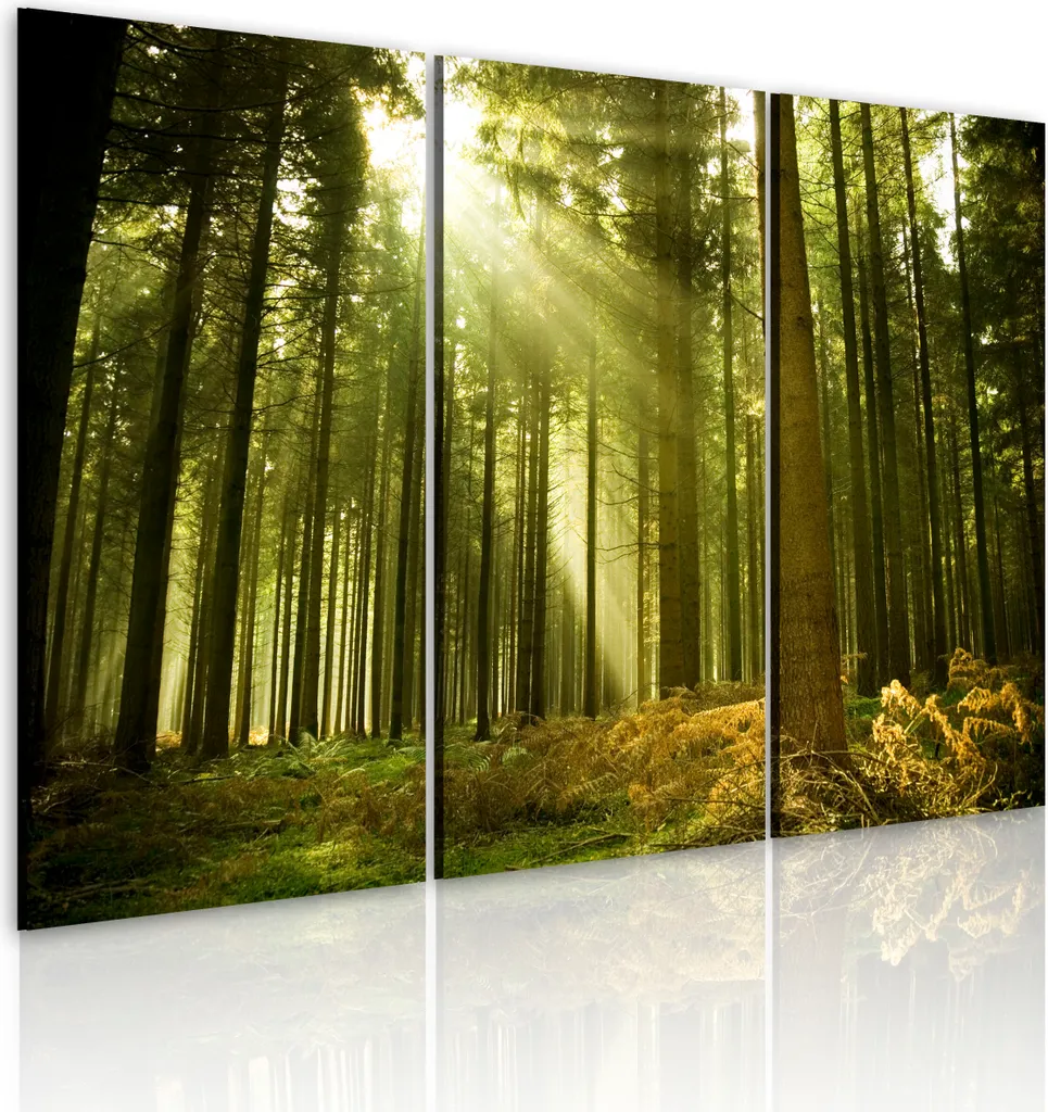 Quadro Moderno 3 Pezzi 120x80 - Stampa su Tela TNT Natura Murando