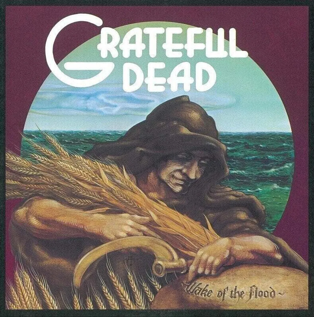 Album Wake Of The Flood Grateful Dead Vinyle LP pour Platine Disque