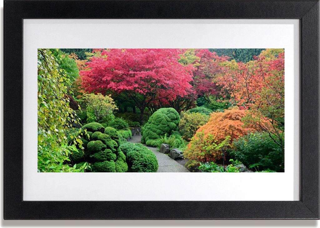 Bild 30x20 MDF-Rahmen Wandkunst Baum-Blumen-Garten Natur