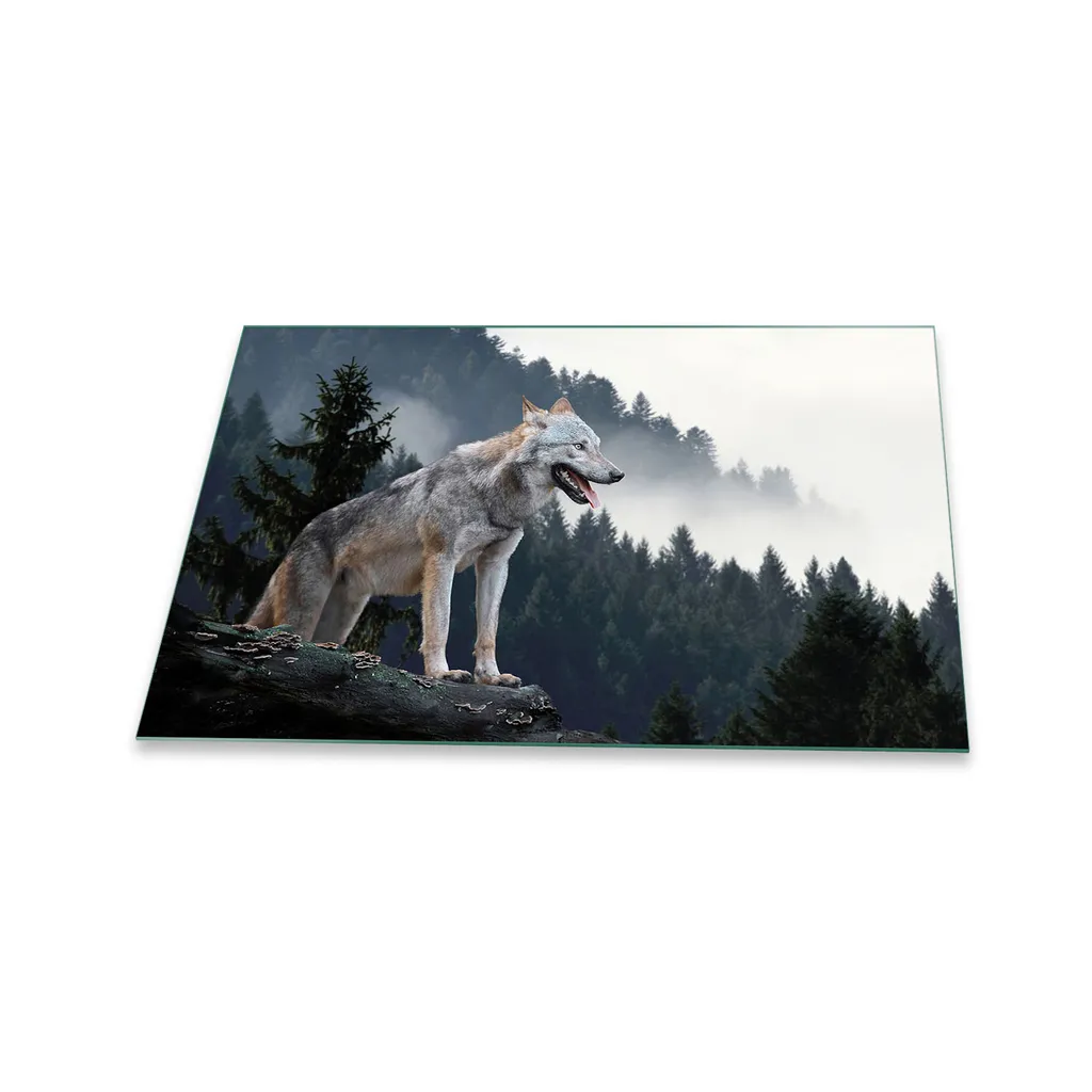Piastra Di Copertura Per Piano Cottura 80x52cm 1 Pezzo In Vetroceram 2
