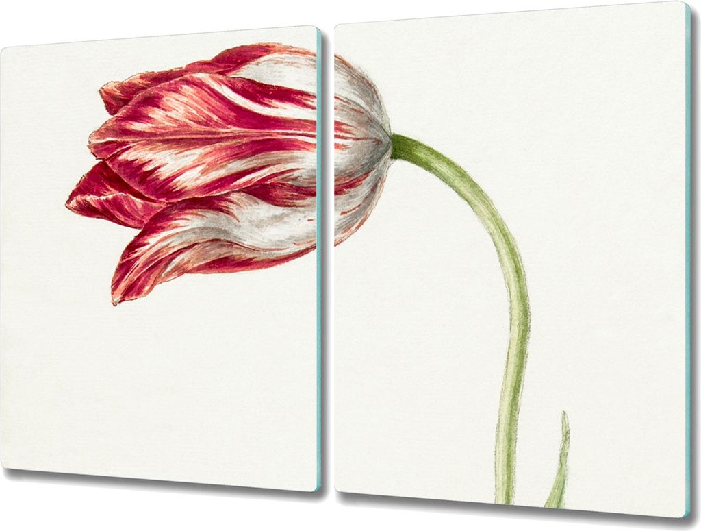 Coloray Hackbrett Kochplattenabdeckung Herdabdeckplatte 2x40x52 cm Schneidebrett Küchenbrett - Blumen Pflanzen