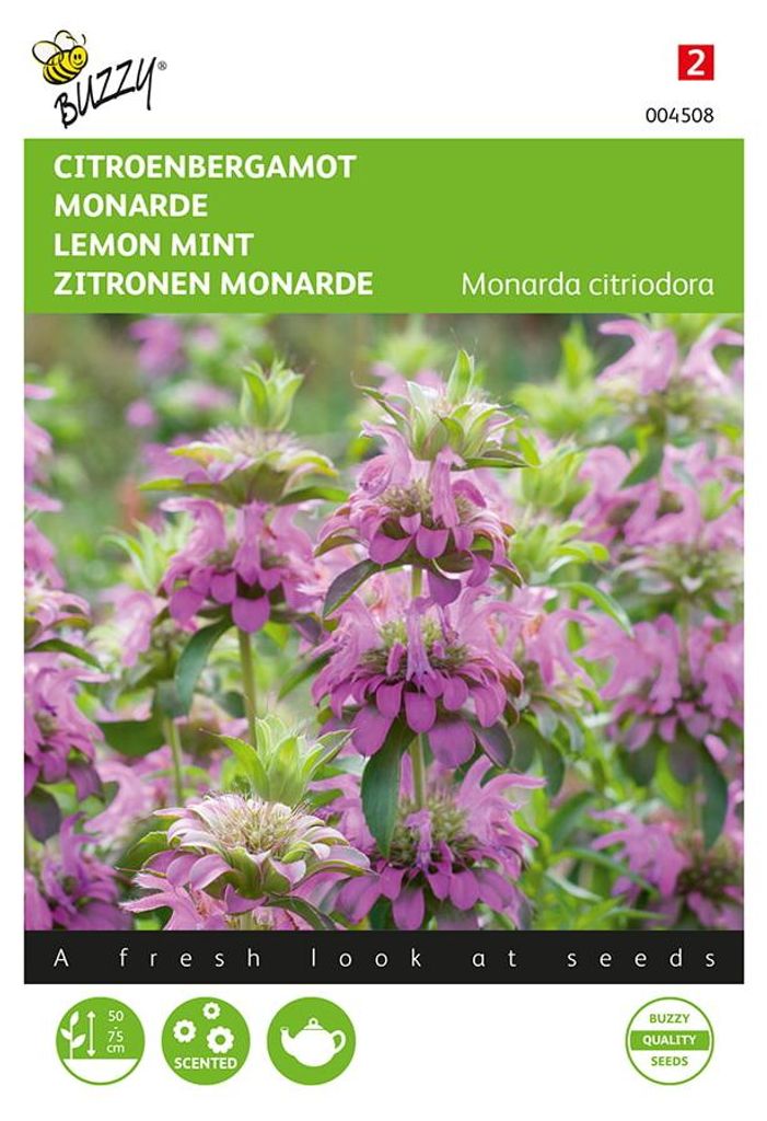 Zitronen Monarde | Blumensamen von Buzzy Seeds