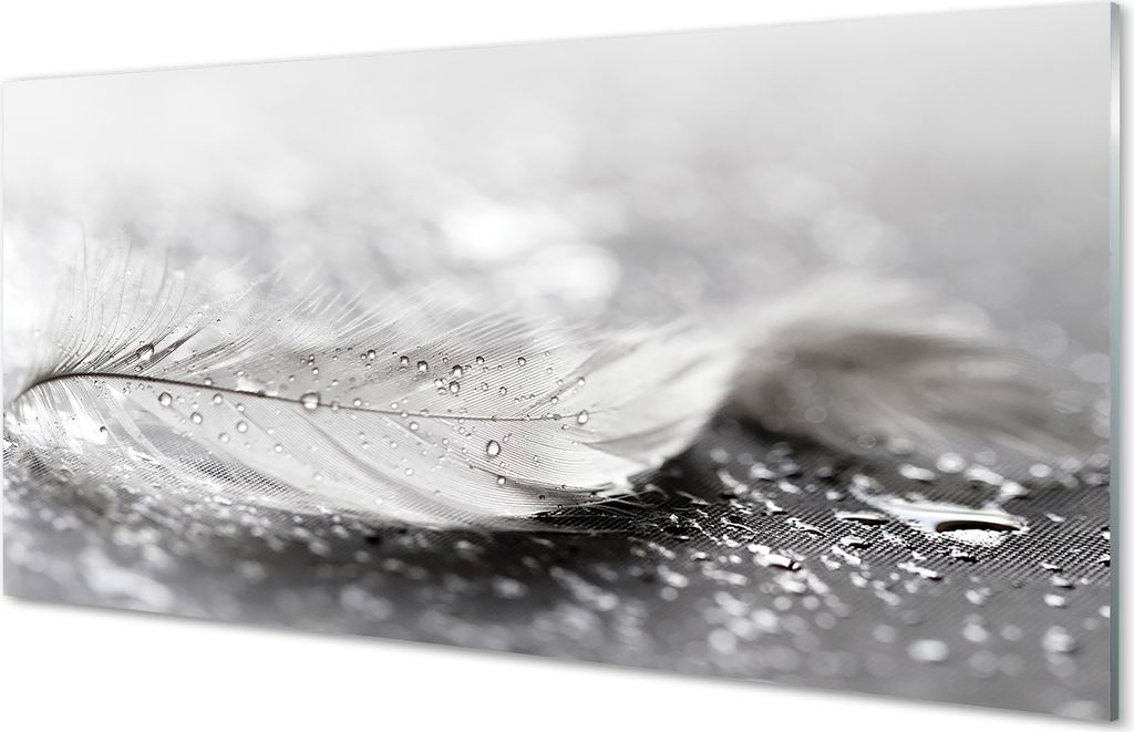 Glasbilder 100x50 Wandkunst Tropfen Feder Makro