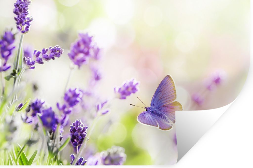 MuchoWow Wandtattoo Wandsticker Wandaufkleber Lavendel - Schmetterling - Blumen 90x60 cm Selbstklebend und Repositionierbar - Aufkleber
