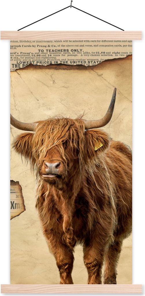 MuchoWow Textilposter Schottisches Hochlandrind - Retro - Zeitungsartikel 40x80 cm mit holzfarbenen Rahmen - Wohnzimmer
