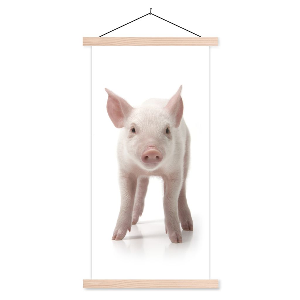 MuchoWow Textilposter Schwein - Tiere - Weiß 40x80 cm mit holzfarbenen Rahmen - Wohnzimmer