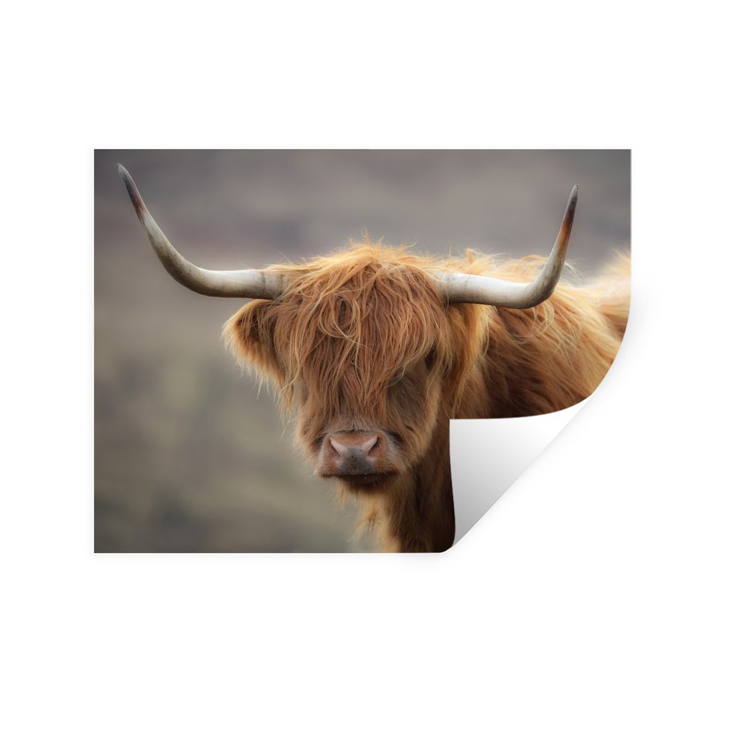 MuchoWow Wandtattoo Wandsticker Wandaufkleber Schottischer Highlander - Hörner - Haare 40x30 cm Selbstklebend und Repositionierbar - Faltenfrei