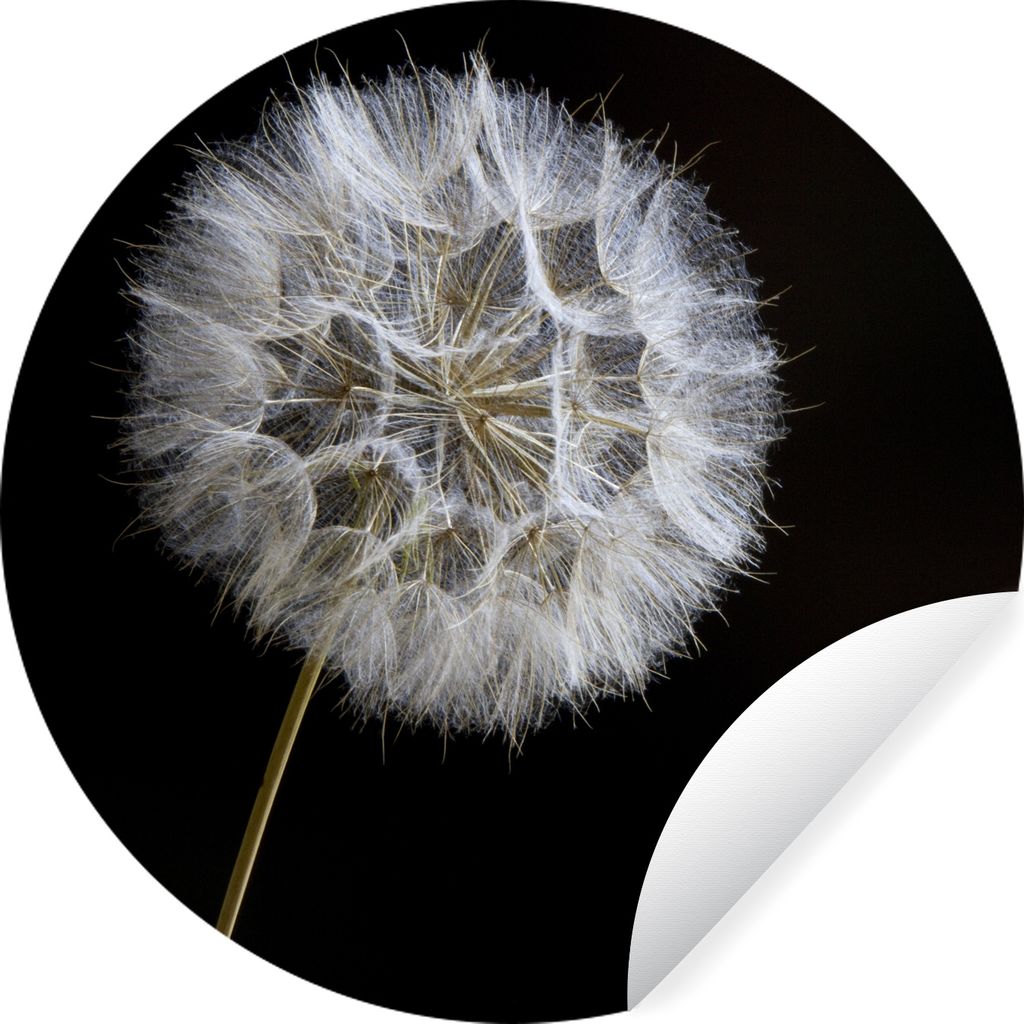 MuchoWow - Wandbild - Fototapete - Selbstklebend - Dekoration - Wandschmuck - Schlafzimmer