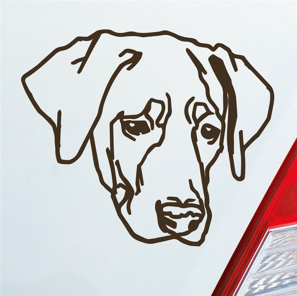 Auto Aufkleber Labrador Labi Labbi Hund Dog 12x10 cm Braun Sticker Heckscheibenaufkleber