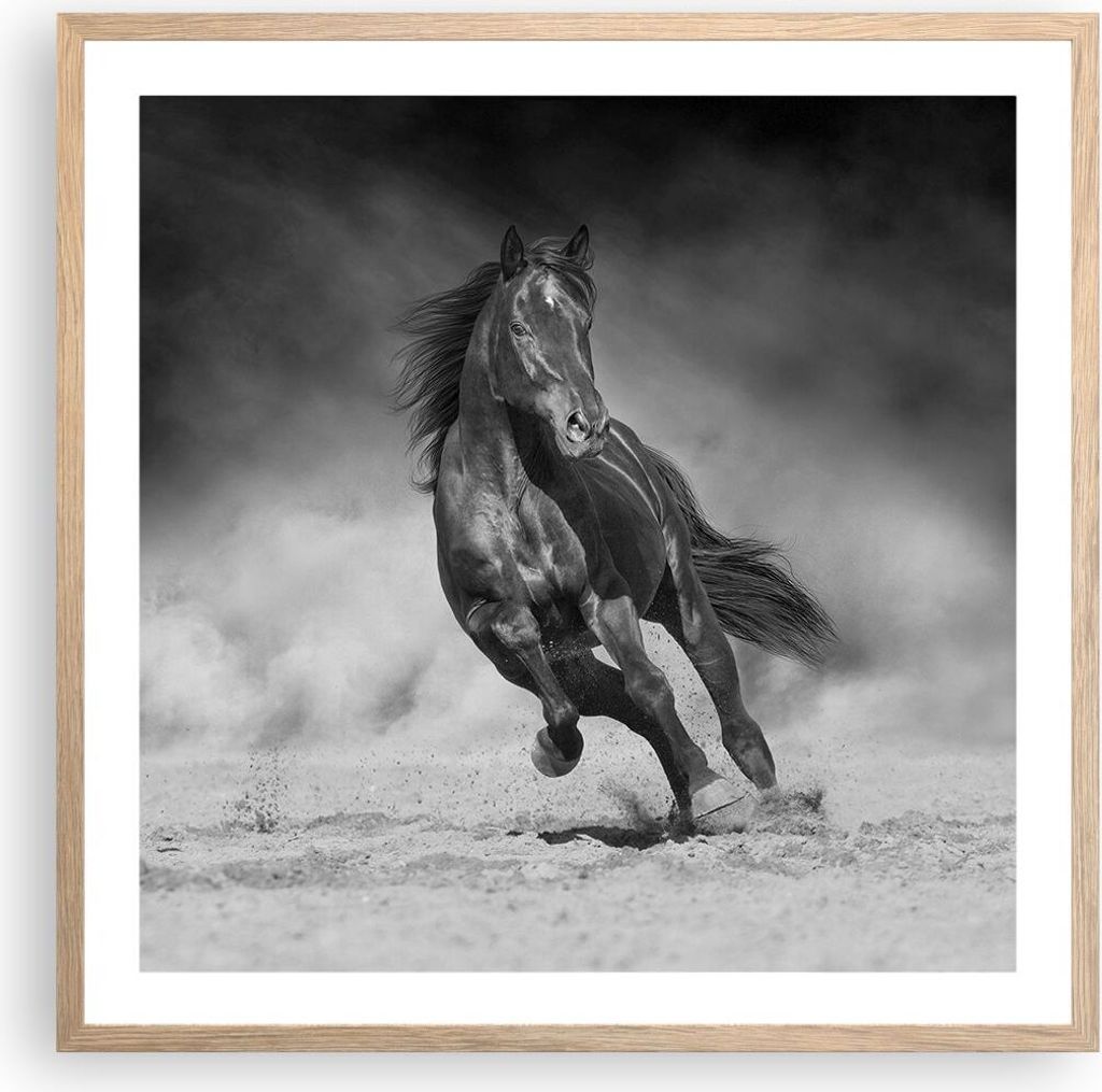 Gerahmtes Poster - Rahmen in heller Eiche - Pferd Galopp dynamisch - 60x60 cm - Wand Bild - Wanddeko - Wandbilder - Kunstposter - Wandposter - Bild...