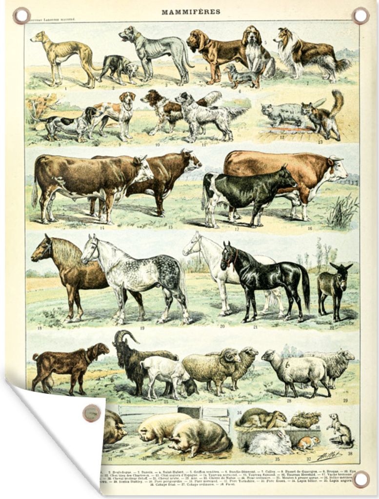 MuchoWow 30x40 cm Outdoor-Poster Gartendeko Sichtschutz Garten Poster für den Garten Tiere - Pferde - Illustration - Vintage - Adolphe Millot