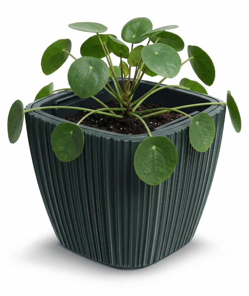 Prosperplast Blumentopf Übertopf Oro herausnehmbar Produktbild 