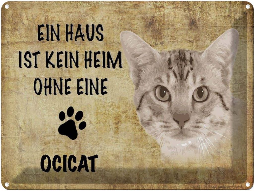vianmo Blechschild 30x40 cm Ocicat Katze ohne kein Heim