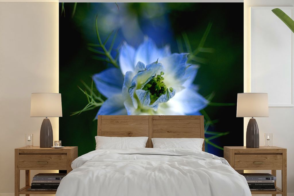 MuchoWow Fototapete für Wohnzimmer oder Schlafzimmer Wandtapete Vinyl Motivtapete Eine bunte Nigellapflanze - 260x260 cm - Papiertapeten