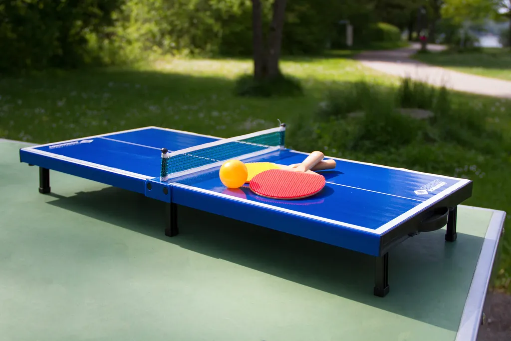 Table de TT Schildkröt MINI 66x33cm - Set Complet avec Filet et Raquettes - 14