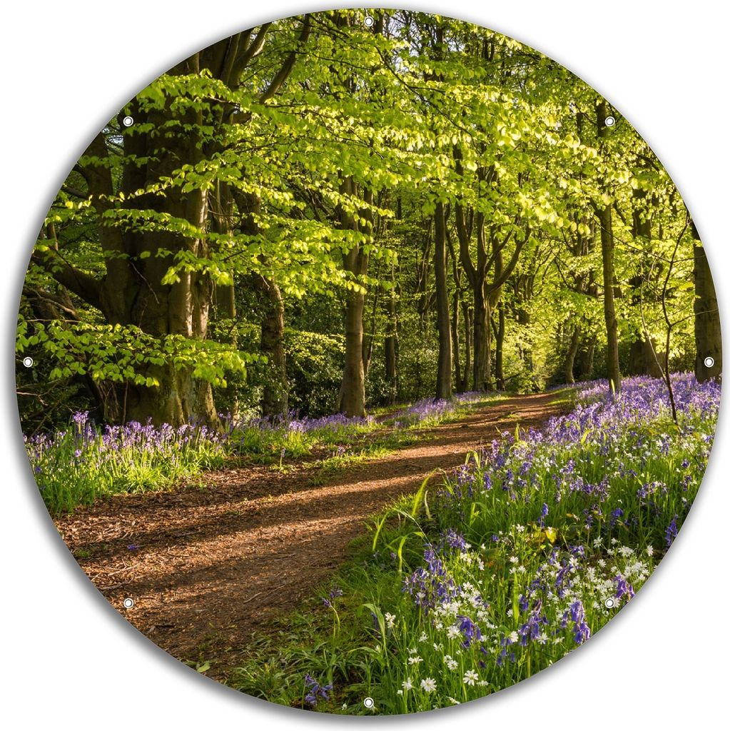 Wallario rundes Outdoor-Poster für Garten oder Balkon, Motiv Blaues Hasenglöckchen im Sommerwald, 60 cm Durchmesser
