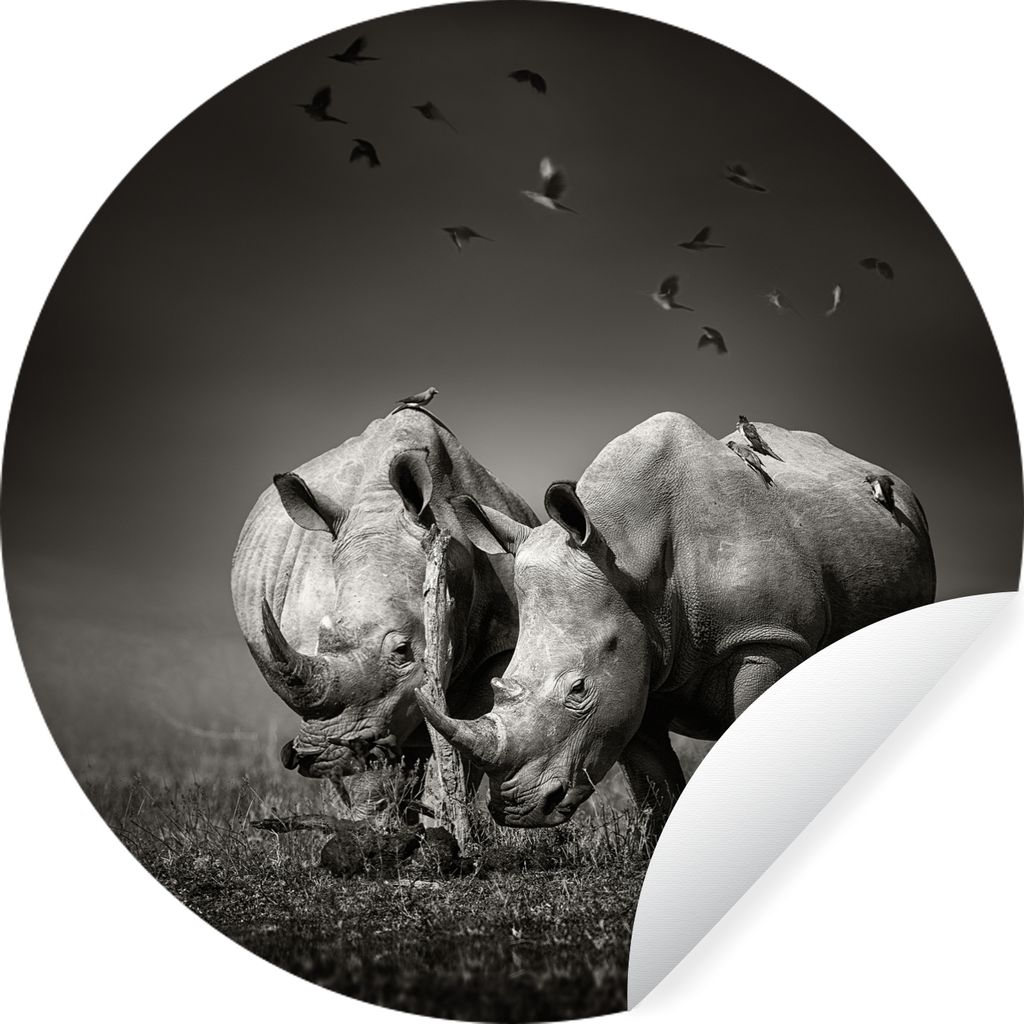 MuchoWow Runde Wandtattoo - Wandsticker Tapete Aufkleber Nashorn - Vogel - Tiere - Landschaft - Schwarz-Weiß Ø 100 cm Selbstklebend und Reposit...