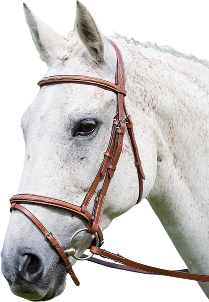 Filet de bride Avignon ER424 en cuir brun - Équipement cheval XFull