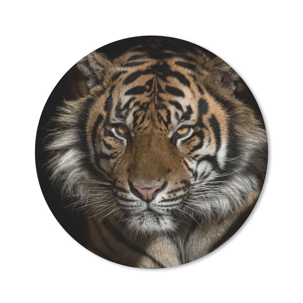 MuchoWow Mauspad Mousepad Tiger - Wilde Tiere - Porträt 30x30 cm - Mousepads - Maus Mat - Pad - Mausunterlage - Tischunterlage - Schreibtischmatten