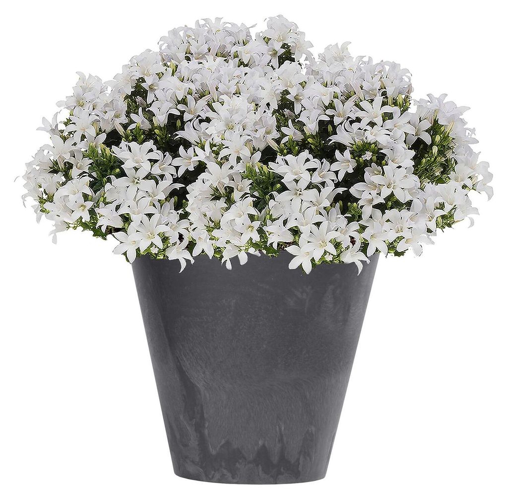 Prosperplast Blumentopf - Kunststoff - Bronze - D30 x 28 cm Produktbild 