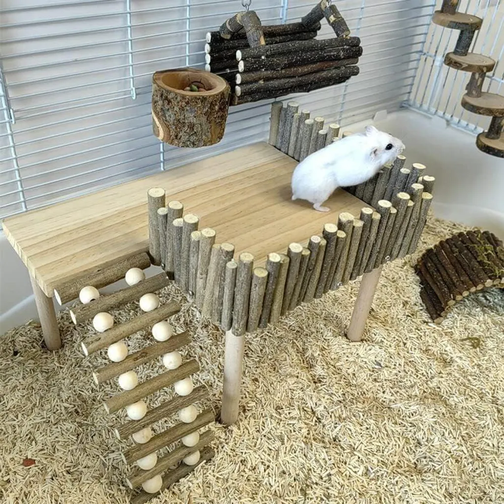 Accessoire de cage pour hamster doré favorisant l'exercice et la grimpe