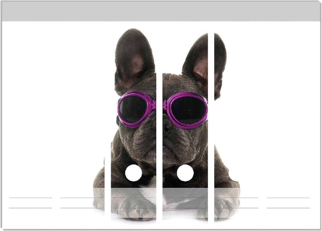 Wallario Ordnerrücken Sticker, selbstklebend für breite Ordner, 6 Stück, Motiv Cooler Hund mit Sonnenbrille in pink - Französische Bulldogge