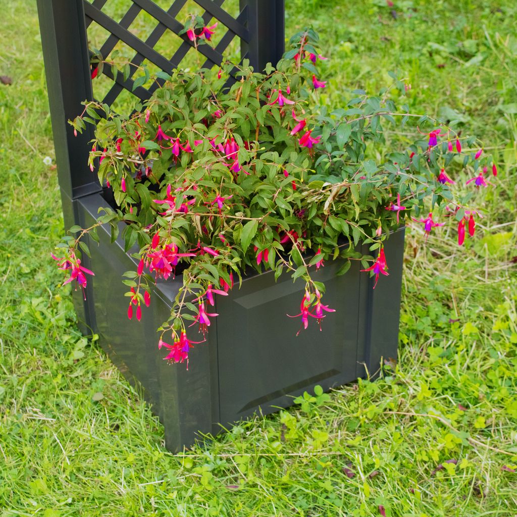 Pflanzkasten NYVIGreen 43x43x140 cm 44 Liter mit Spalier - Pflanzkübel aus wetterfestem & recyceltem Kunststoff, Farbe:Anthrazit