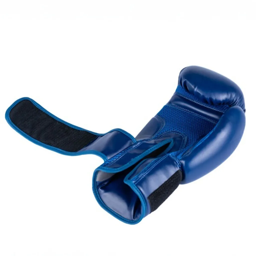 Gants de boxe avec protection poignet DBX BUSHIDO ARB-407-Blue 10oz
