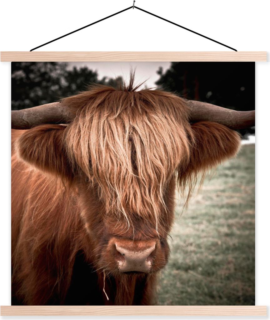 MuchoWow Textilposter Schottisches Hochlandrind - Baum - Gras 40x40 cm mit holzfarbenen Rahmen - Posterleiste