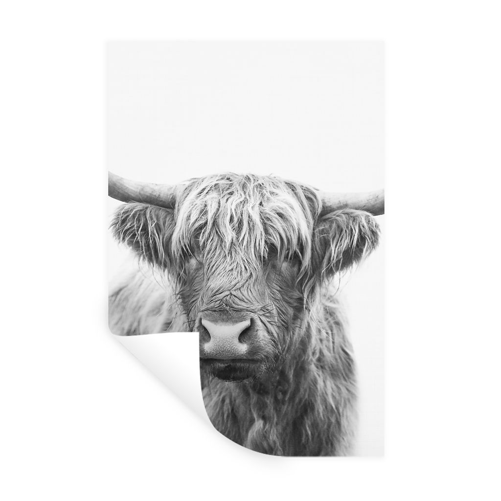 MuchoWow Wandtattoo Wandsticker Wandaufkleber Schottischer Highlander - Tiere - Hörner - Schwarz und weiß 80x120 cm Selbstklebend und Repositio...