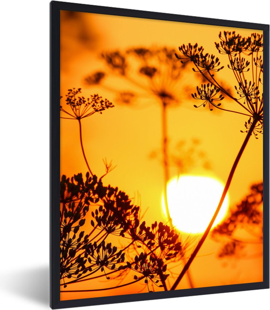 MuchoWow Gerahmtes Poster Pflanzen - Blumen - Sonnenuntergang - Orange 30x40 cm - Poster mit Schwarzem Bilderrahmen Wandposter Rahmen Foto Bilder...