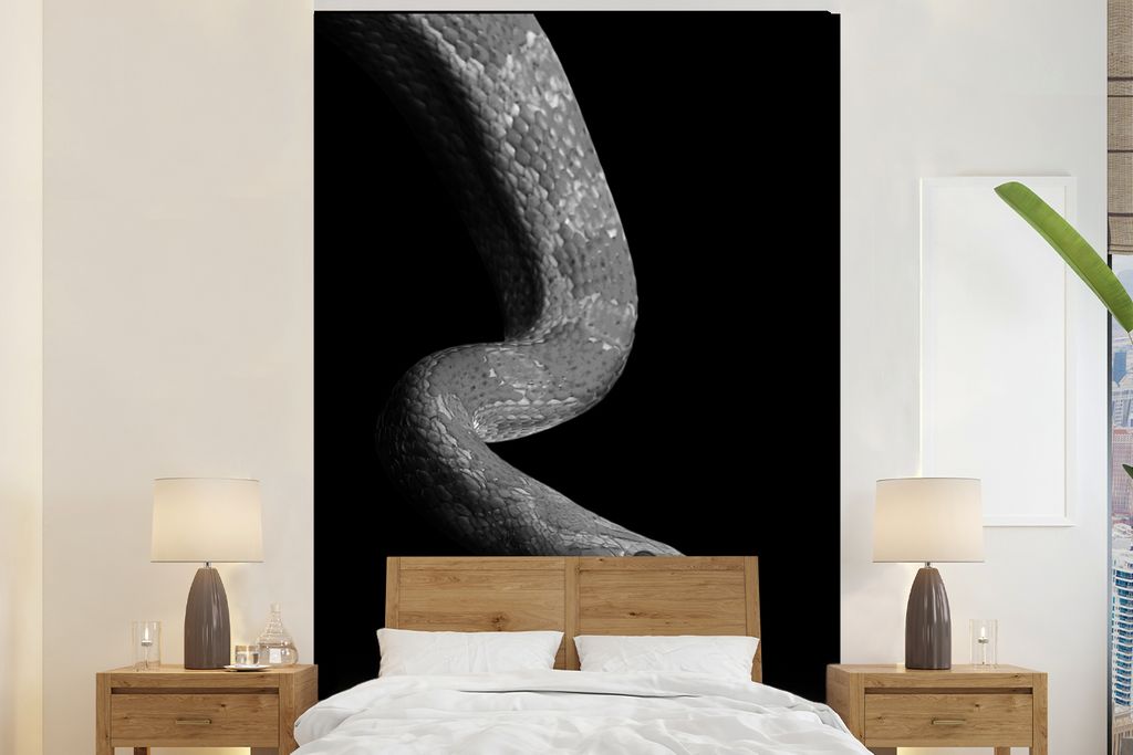 MuchoWow Fototapete für Wohnzimmer oder Schlafzimmer Wandtapete Vinyl Motivtapete Tiere - Schlange - Schwarz - Weiß - Porträt - 195x300 cm - D...