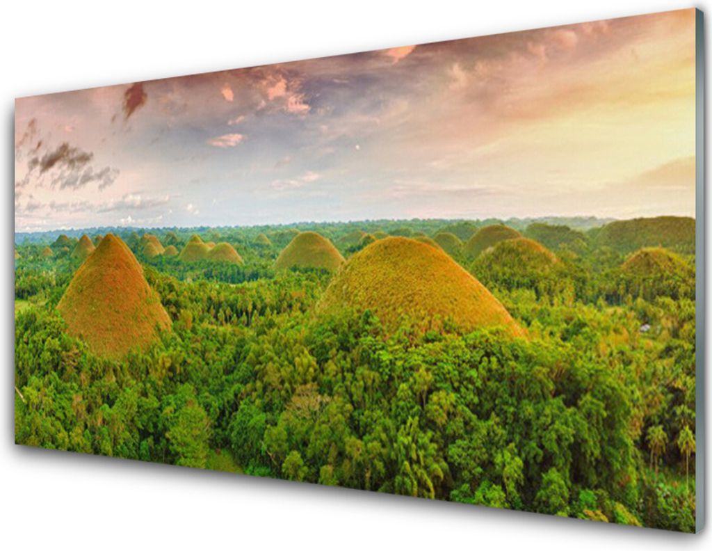 Acrylglasbilder 100x50 Wandbild Druck Wald Natur