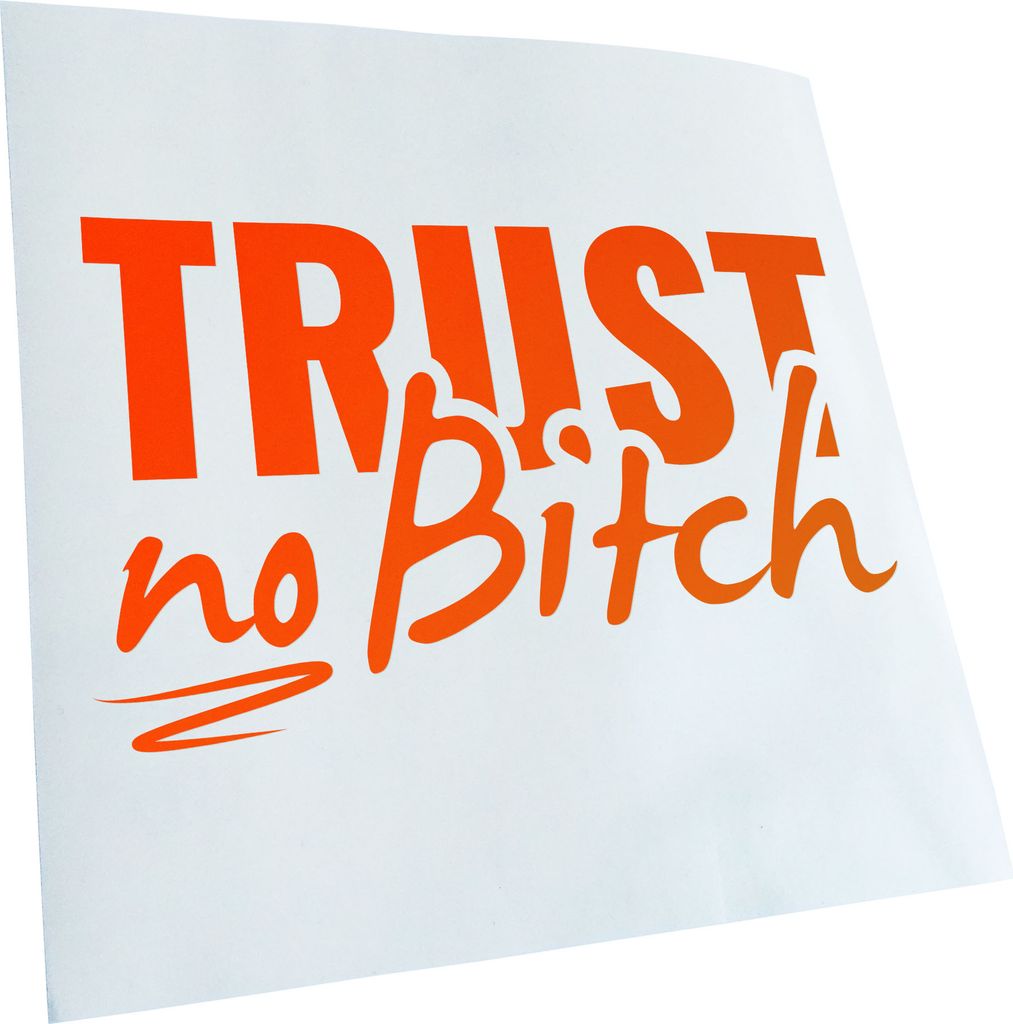hauptsachebeklebt Kiwistar - Autoaufkleber - Trust no Bitch - Vertrau keiner Tussi Heckscheibe - Aufkleber für Auto Kfz Fahrrad, LKW, Truck Mofa
