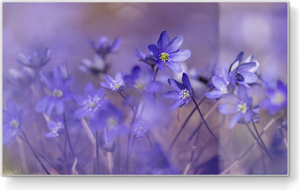 DEQORI Frühstücksbrett Glas 23x14 cm 'Blaue Traumblüten' Schneidebrett Schneideplatte