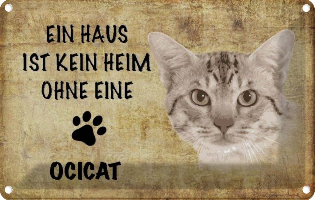 vianmo Blechschild 12x18 cm Ocicat Katze ohne kein Heim Tier Haustier