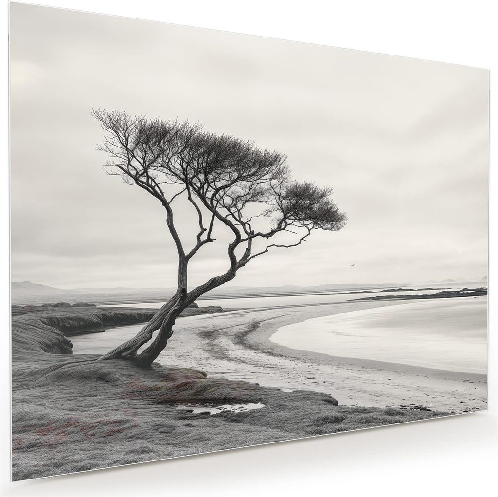 Glasbild 120x90cm in XXL für Wohnzimmer, Schlafzimmer Motiv Einsamer Baum am Meer