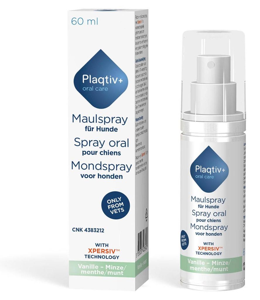 Plaqtiv+ Maulspray 60 ml | Hunde & Katzen | Zahnpflege | Produktbild 