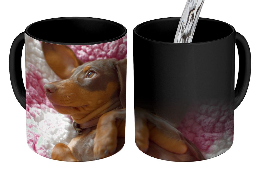 KitchenYeah Zauber Tasse Zaubertasse Magic Ein Dackelwelpe auf einer rosa Decke 350 ml Farbwechsel Becher Geschenk Geschenkidee - Magic-Tasse - F...