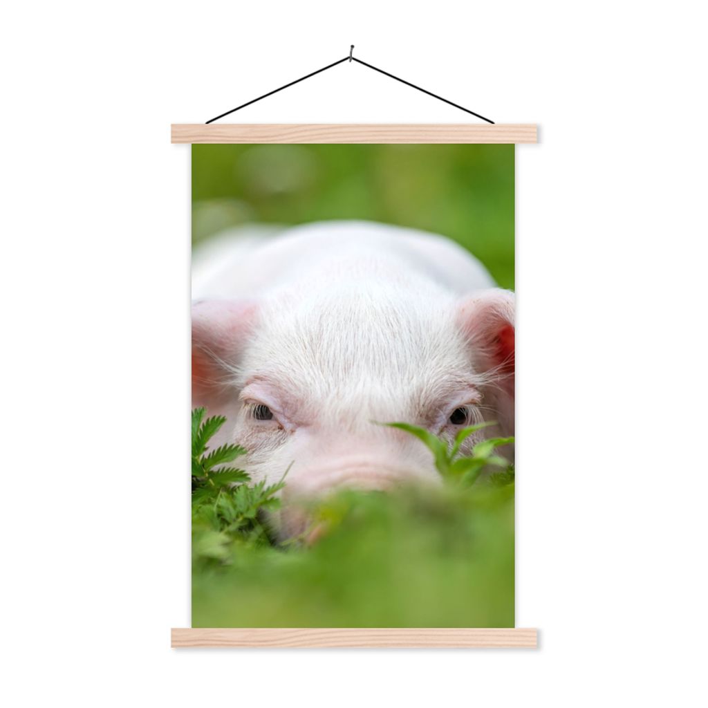MuchoWow Textilposter Schwein - Tiere - Groß 60x90 cm mit holzfarbenen Rahmen - Textil