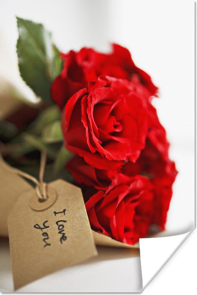 MuchoWow Poster Rote Rosen auf einem weißen Hintergrund für Valentinstag 20x30 cm - Papierdruck