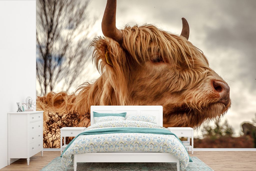 MuchoWow Fototapete für Wohnzimmer oder Schlafzimmer Wandtapete Vinyl Motivtapete Scottish Highlander - Strauch - Heidekraut - 360x240 cm - Viny...