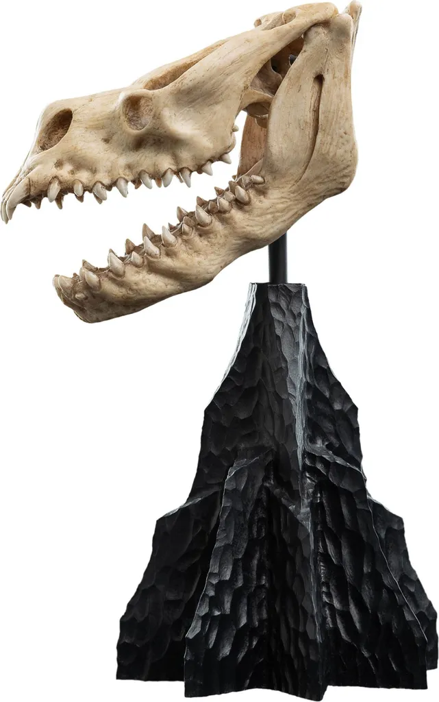 Objet de Collection Crâne de Bête Qualité Musée pour Vitrine de Fantasy - 10