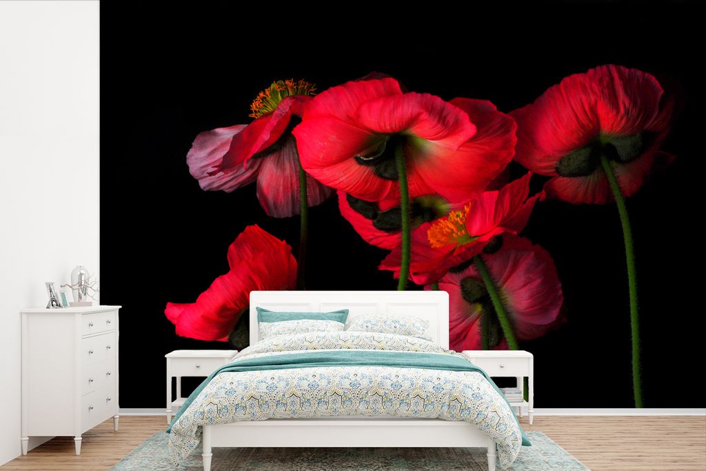MuchoWow Fototapete für Wohnzimmer oder Schlafzimmer Wandtapete Vinyl Motivtapete Die isländischen Mohnblumen auf schwarzem Hintergrund - 360x2...