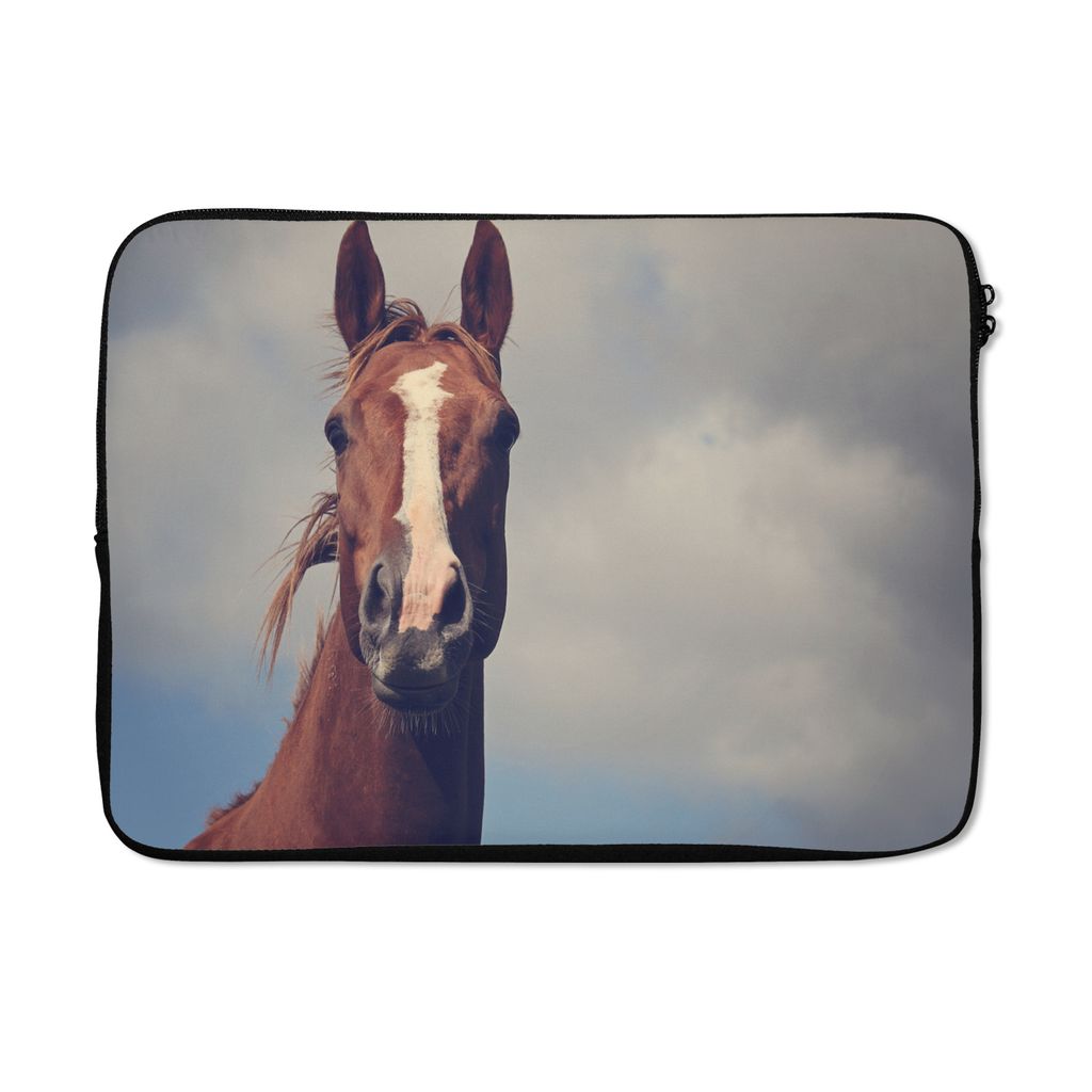MuchoWow Laptop Hülle 14 ZollPferd - Luft - Blau Laptoptasche - Laptoptasche - Stoßsicher - Schutzhaube