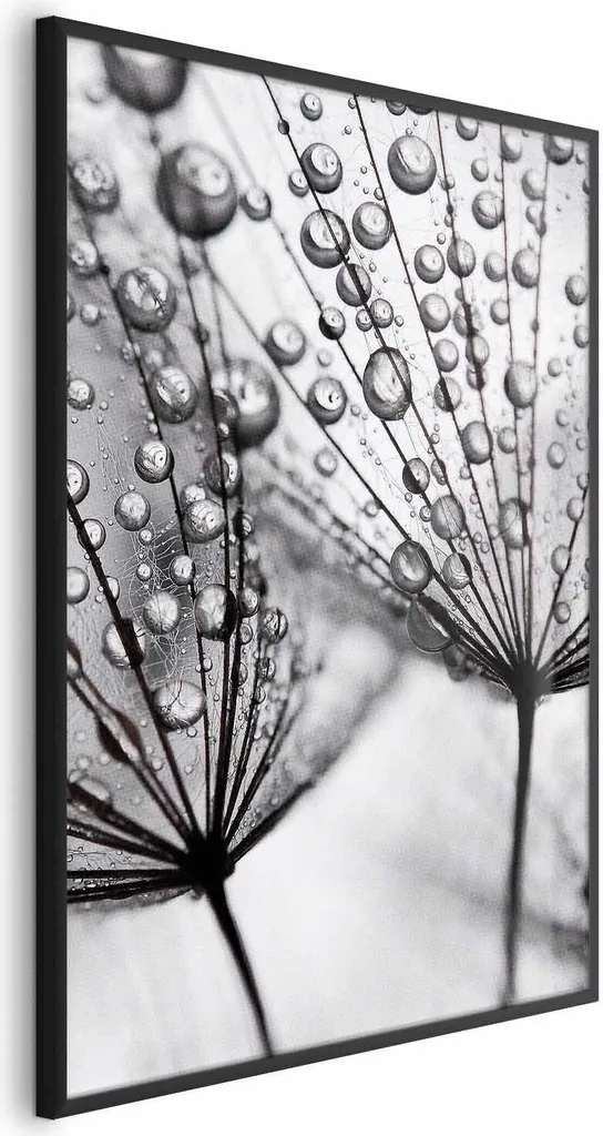 Poster Rosa 40x60 cm con cornice nera senza margine
