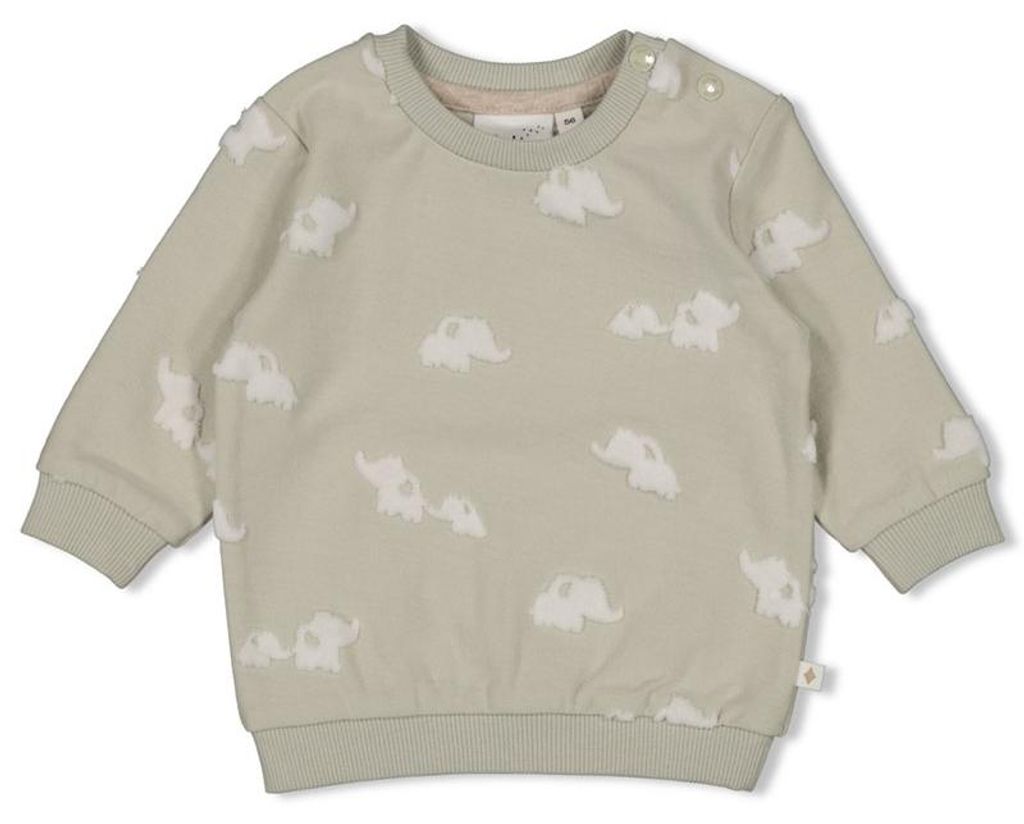Feetje-Sweater AO - Elephant-Minze