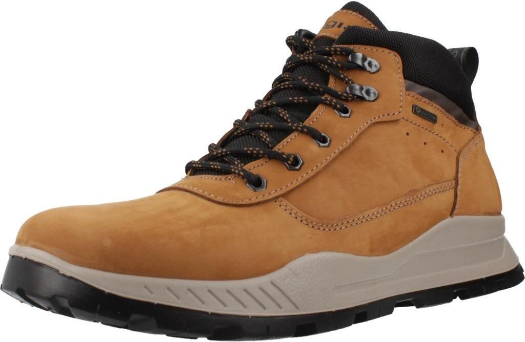IGI&CO 6630022IG Brown