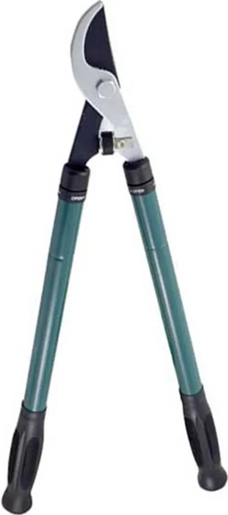 Sécateur Bleu Ferrestock Idéal pour Entretenir Rosiers et Petits Arbres