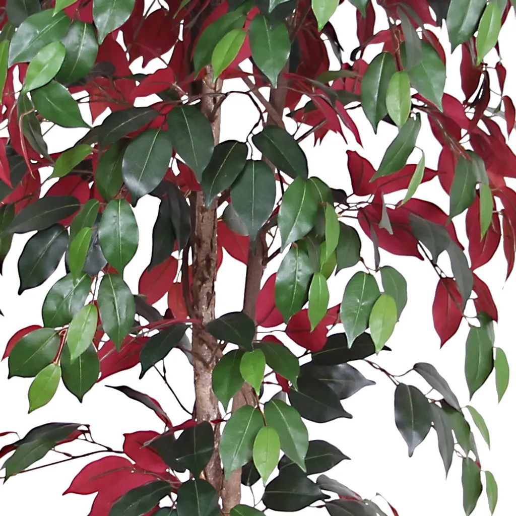 Ficus Benjamin Artificiale 150cm Rosso - Decovego Albero d'Arredo - 2